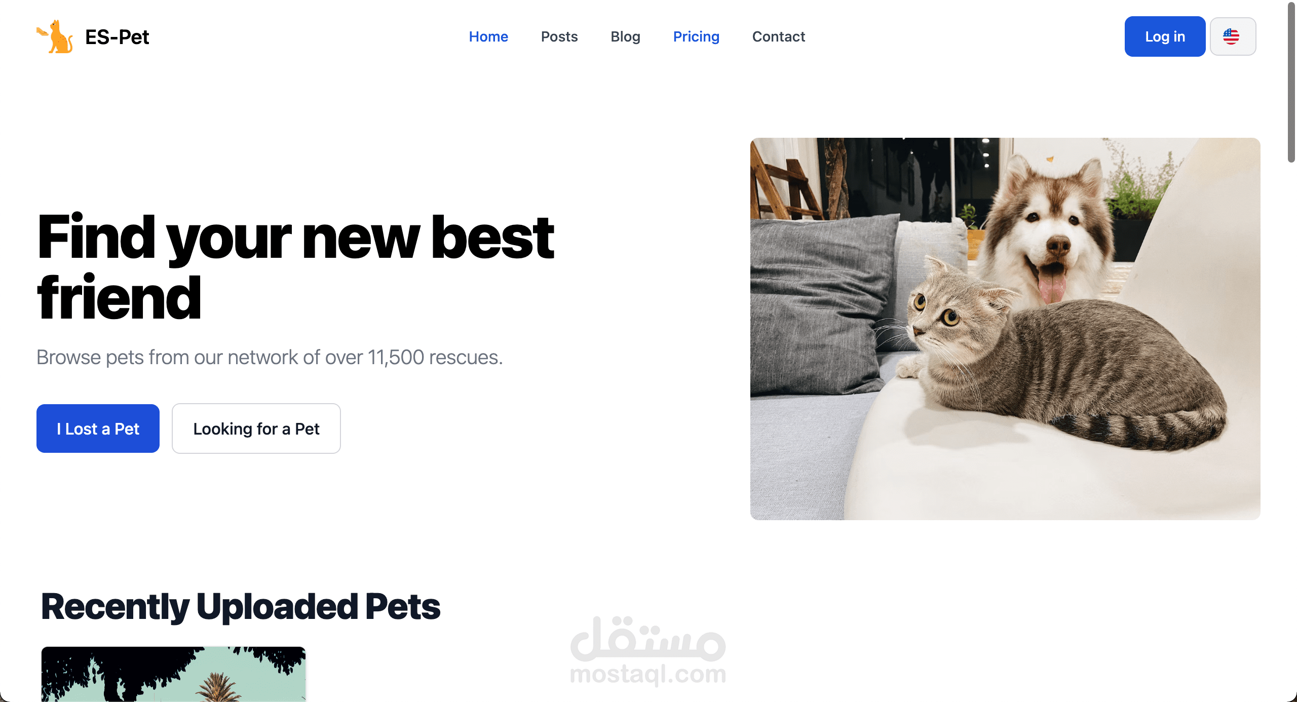 Find Your Pet