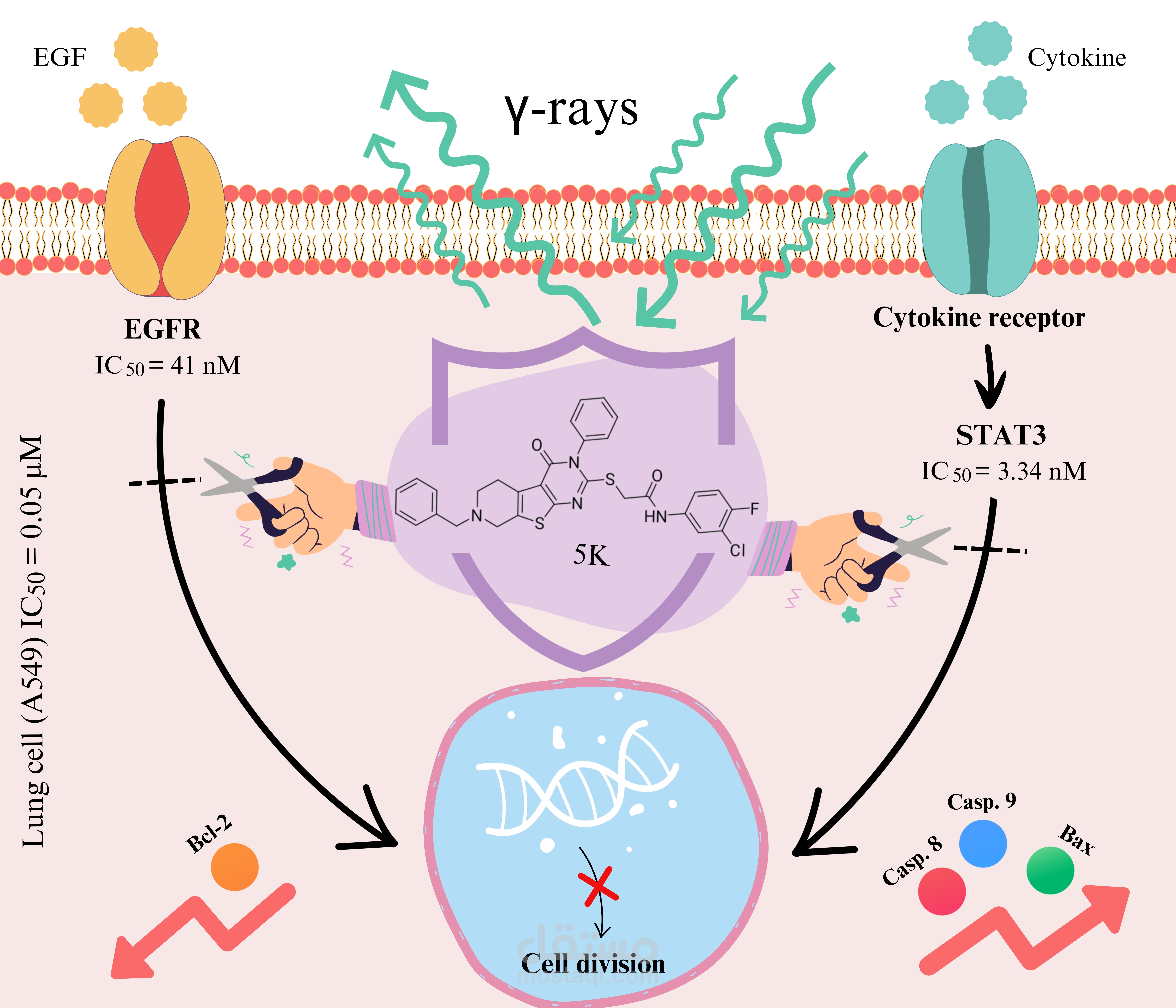 Graphical abstract for a scientific research paper