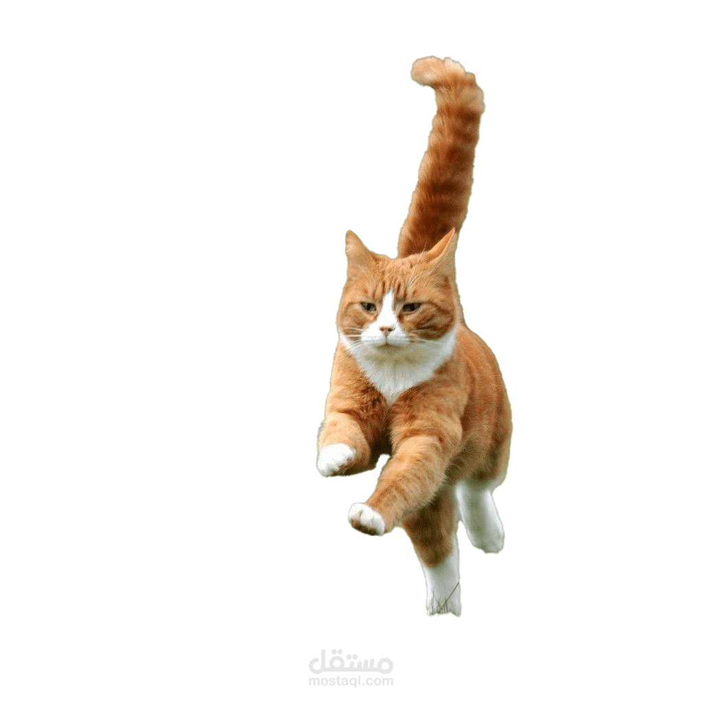 photo editing and background