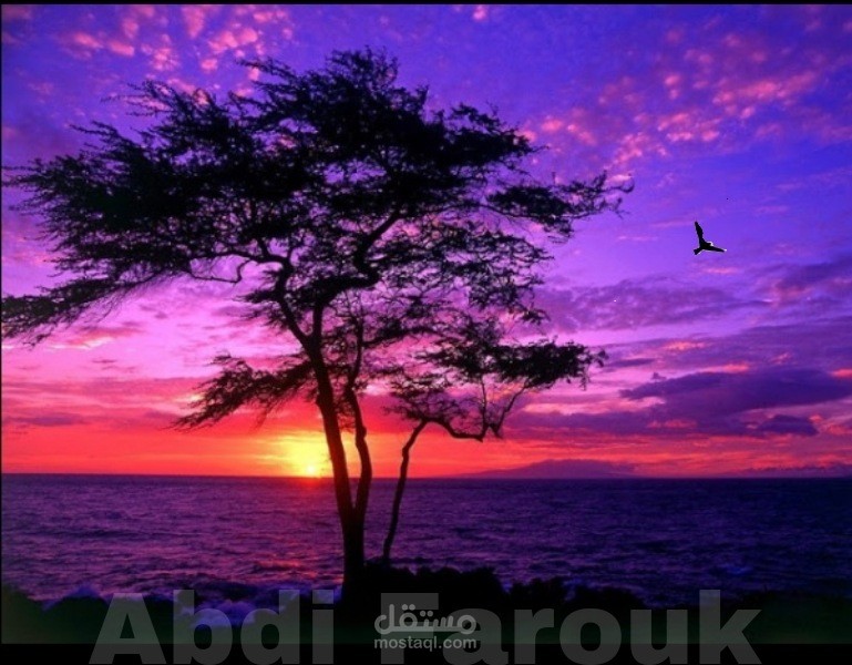 تعديل صور