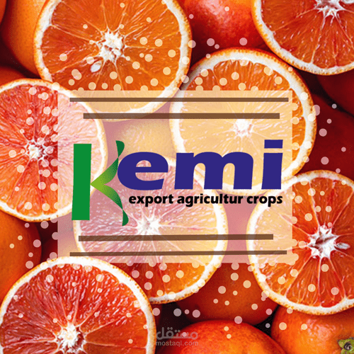 لوجو لشركة kemi للتصدير الزراعي