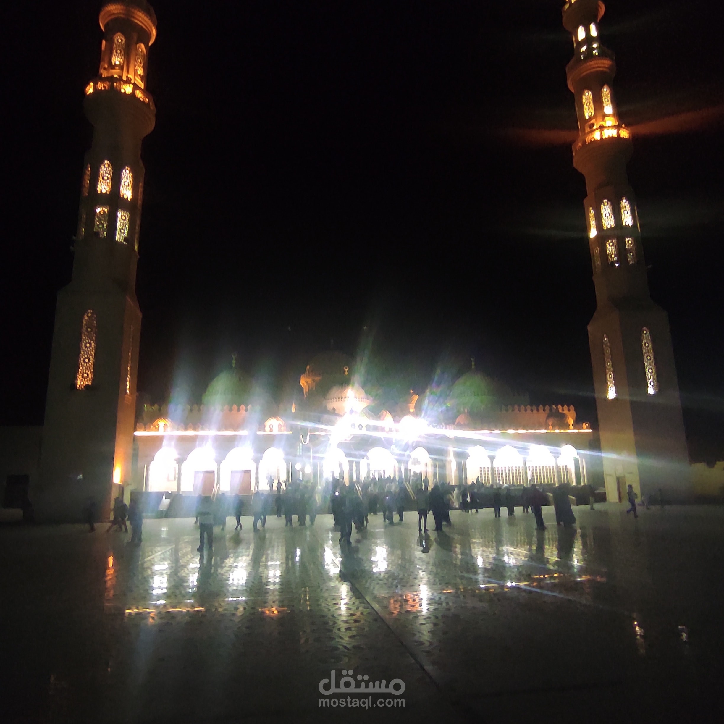مقطع مقدم كجزء من عمل وثائقي مقترح