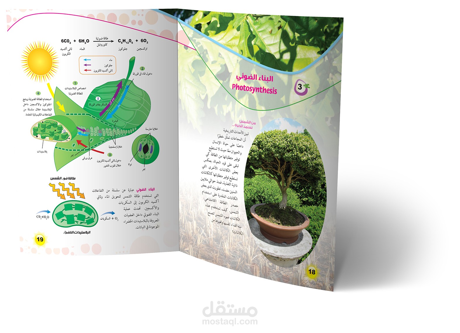 Educational scientific encyclopedia