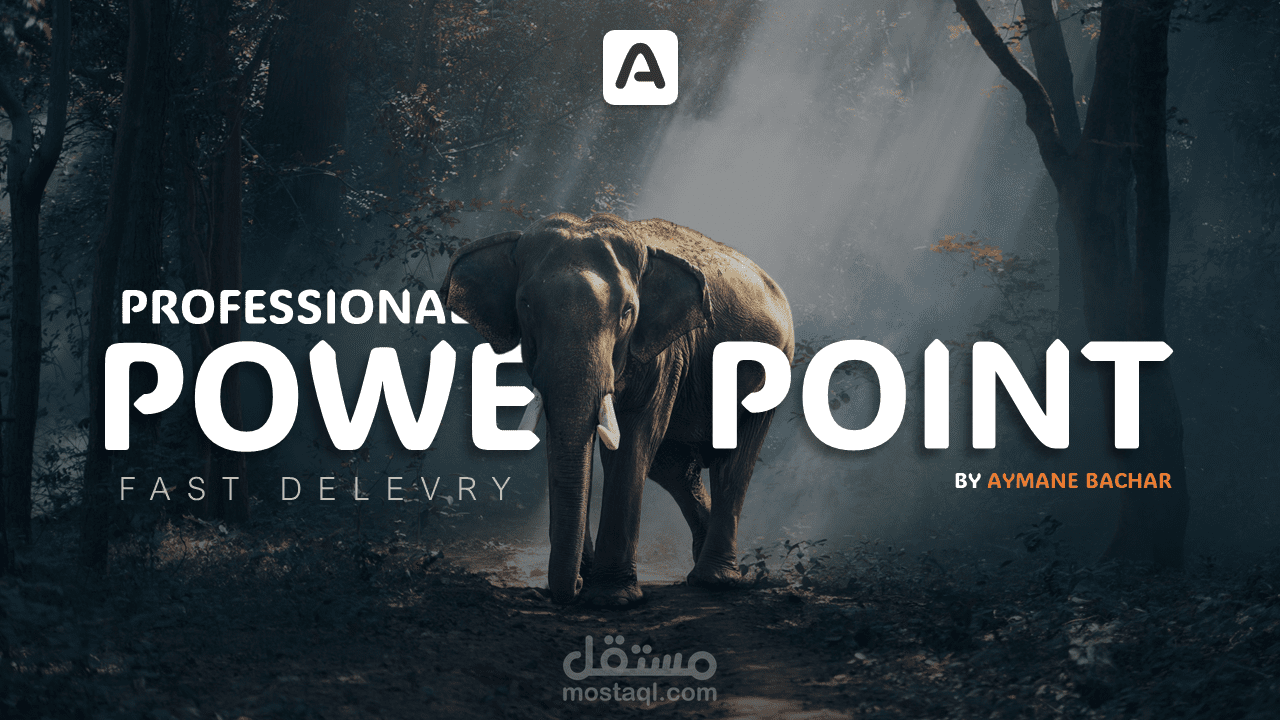 تصاميم power point  احترافية