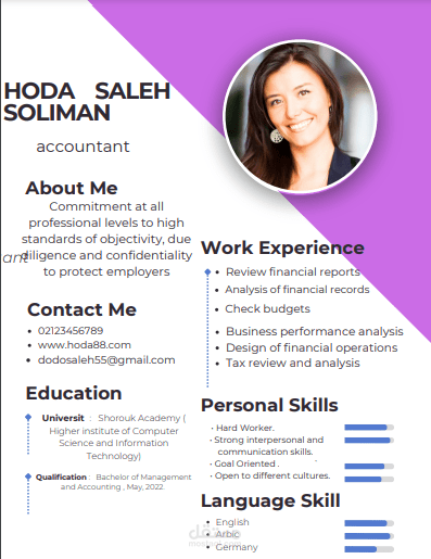 Professional CV