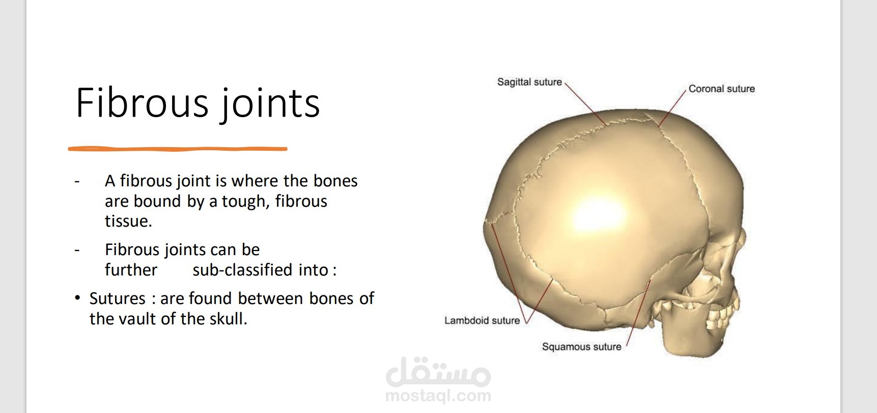 Definition and types of joint