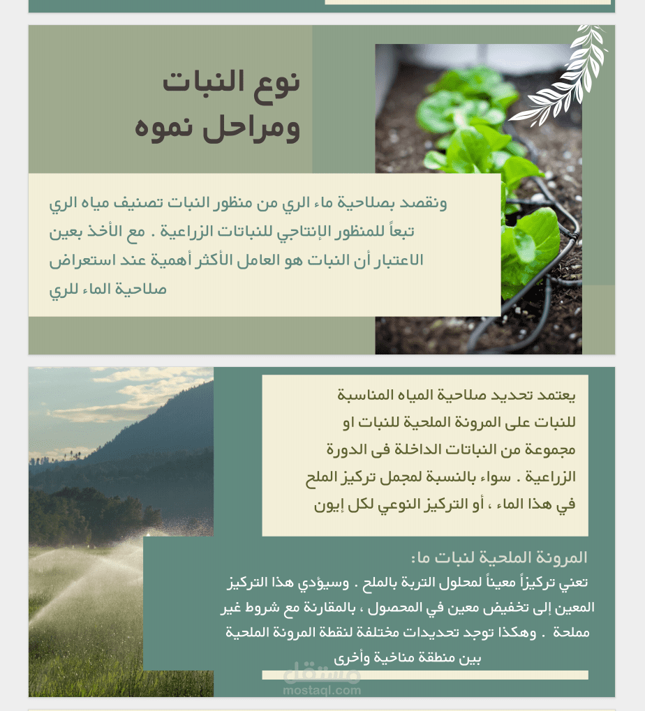 تصميم عروض بوربوينت