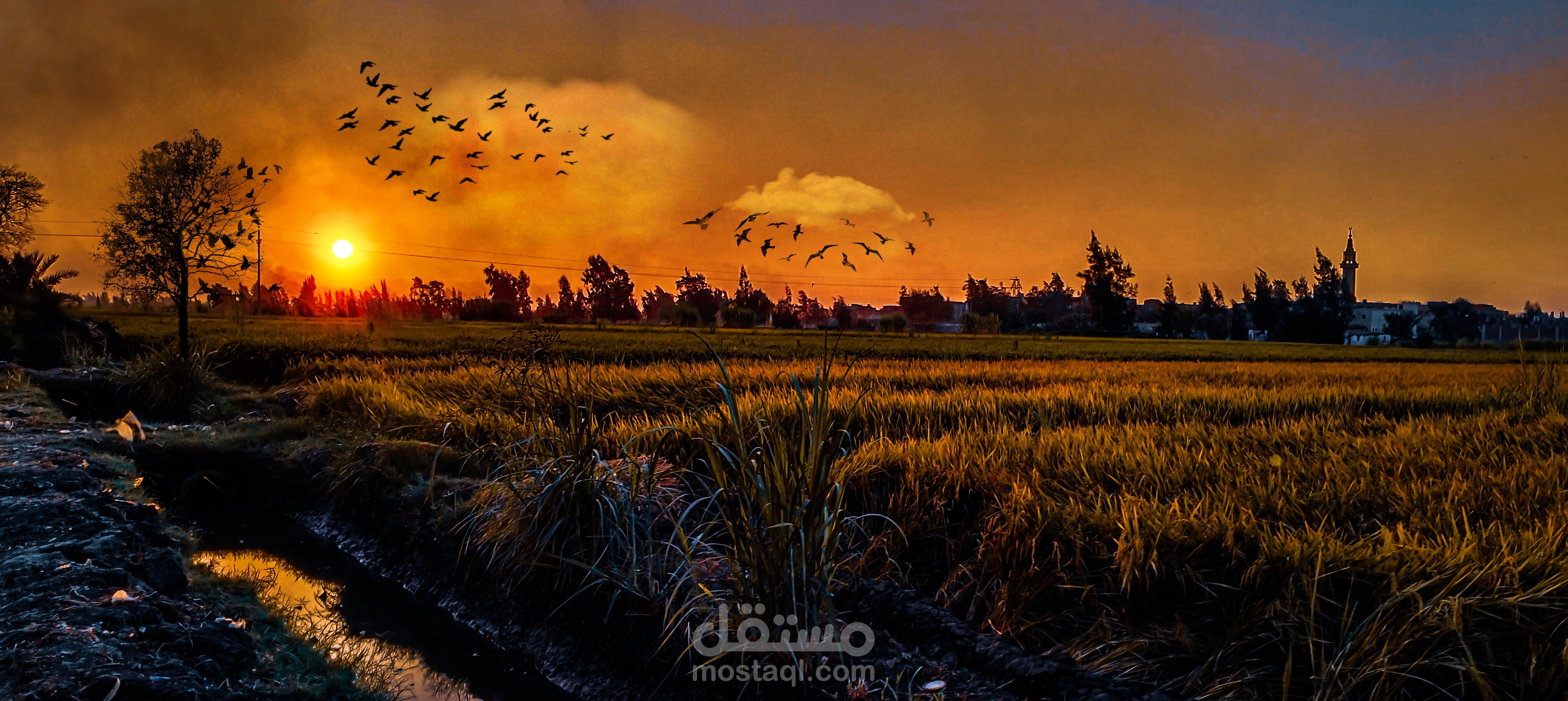 تصوير فوتوغرافي واعمال فوتوشوب
