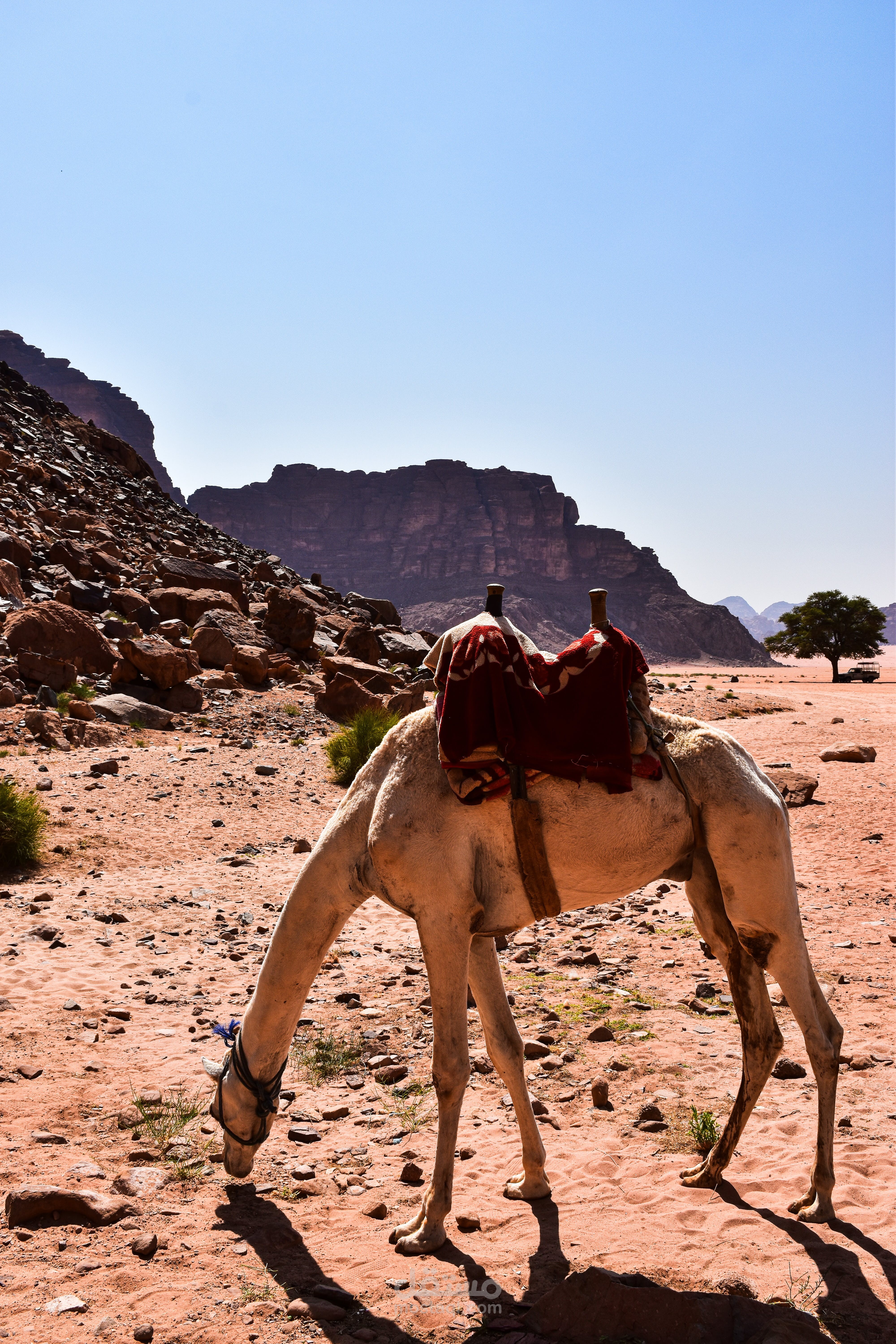 مكارم الاخلاق