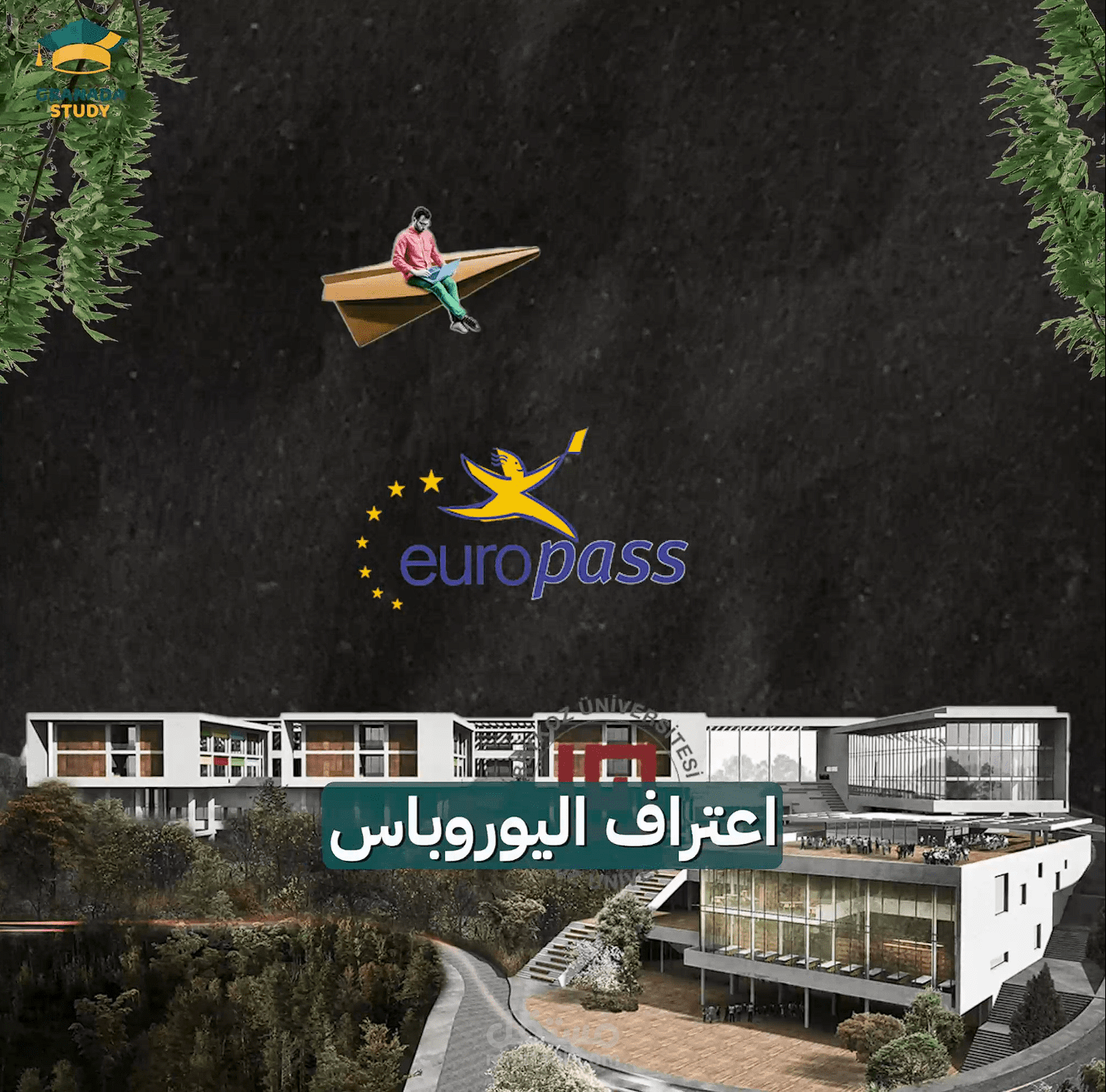 Twitter"X" video editing