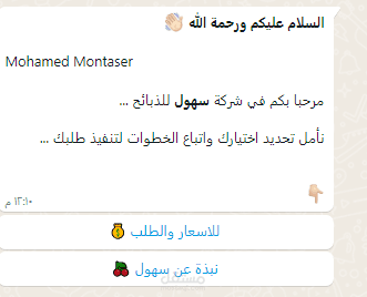 بوت واتساب