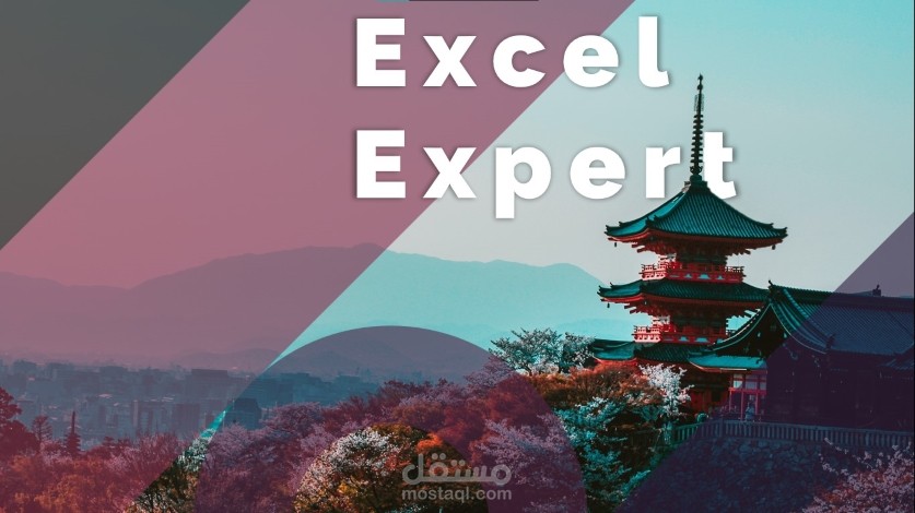 متخصص في  Excel