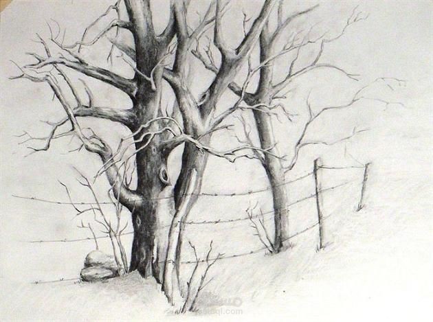 free Hand Drawing