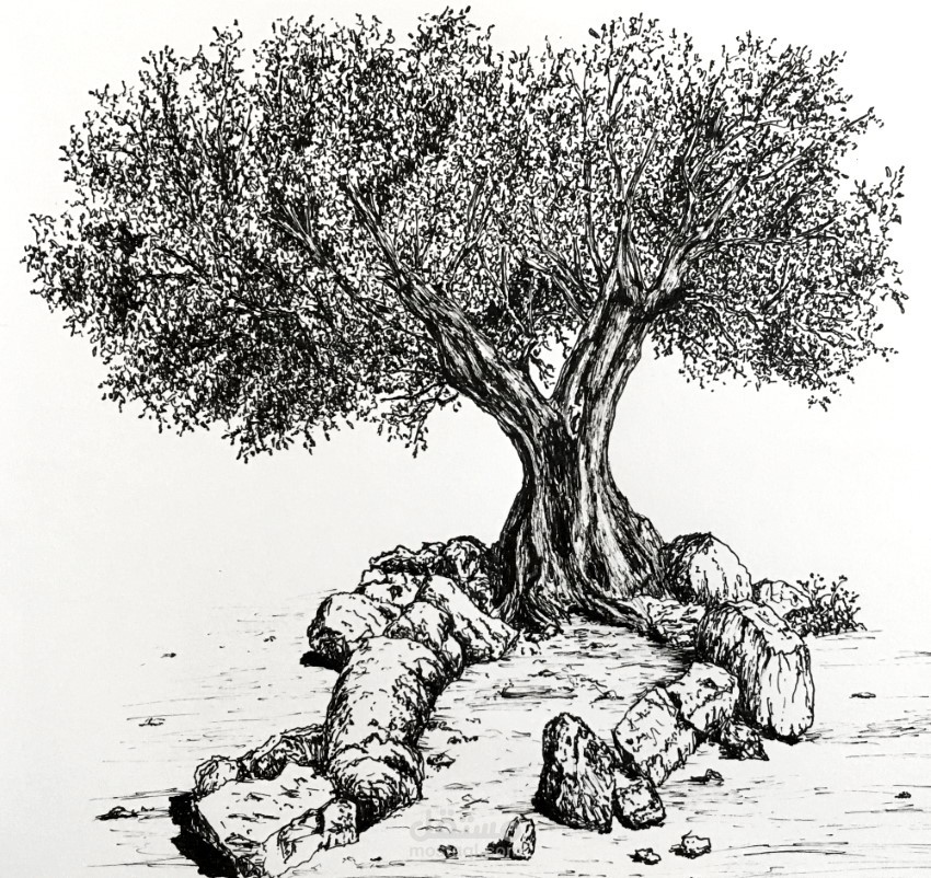 Free Hand Drawing