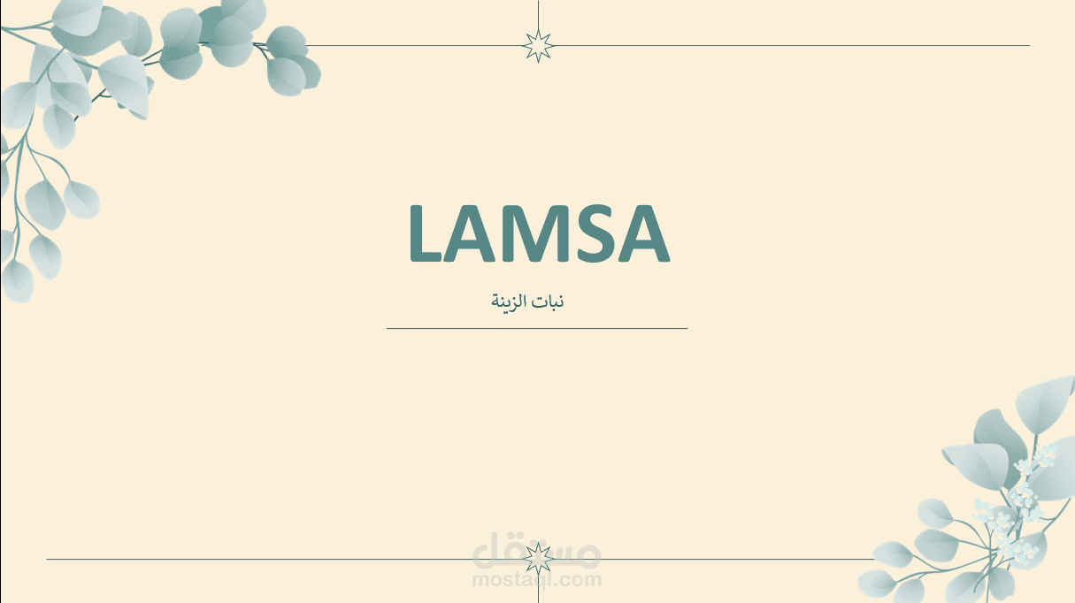 LAMSA : فكرة مشروع نبات الزينة