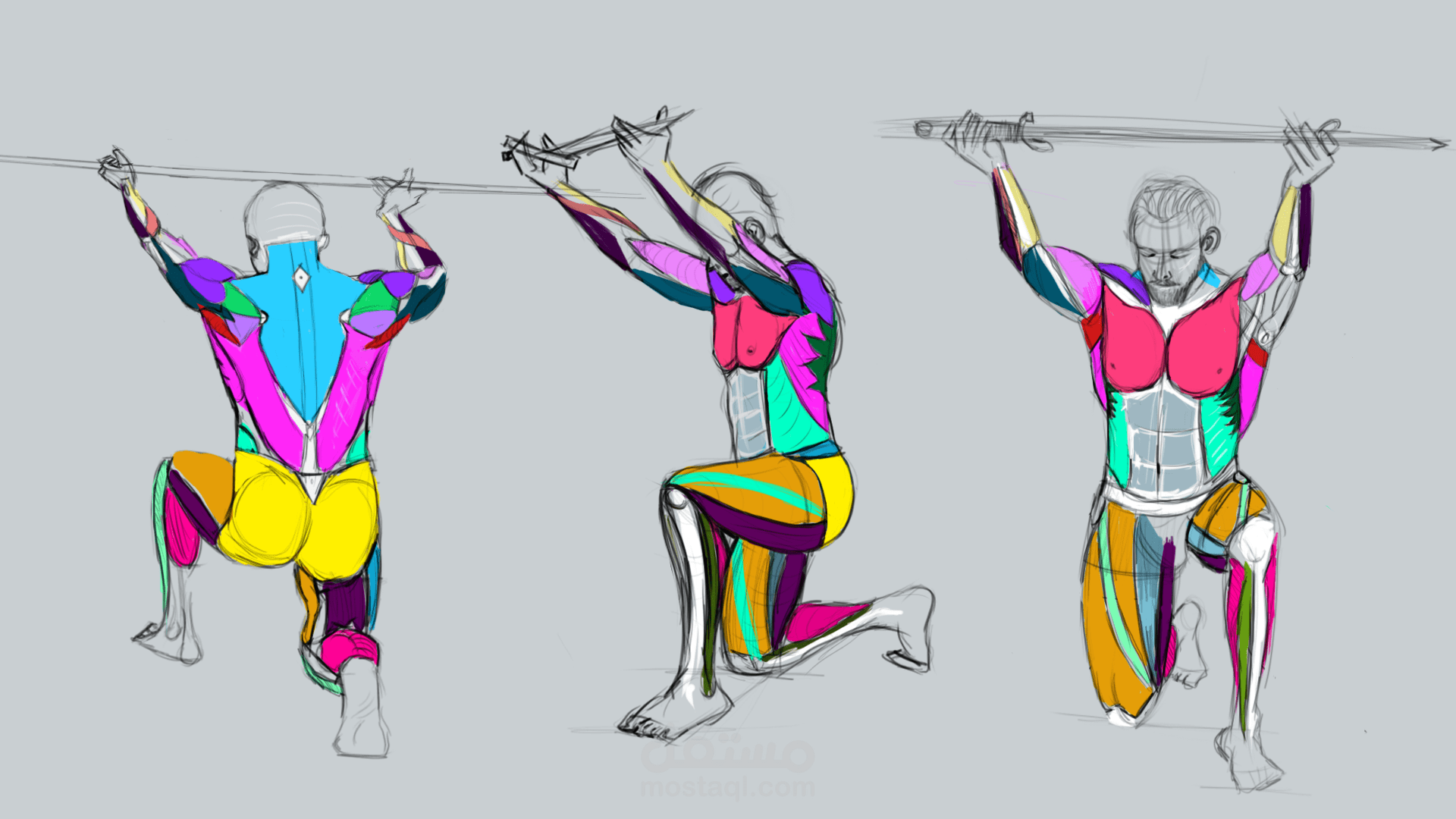 دراسة تشريحية للمنظور