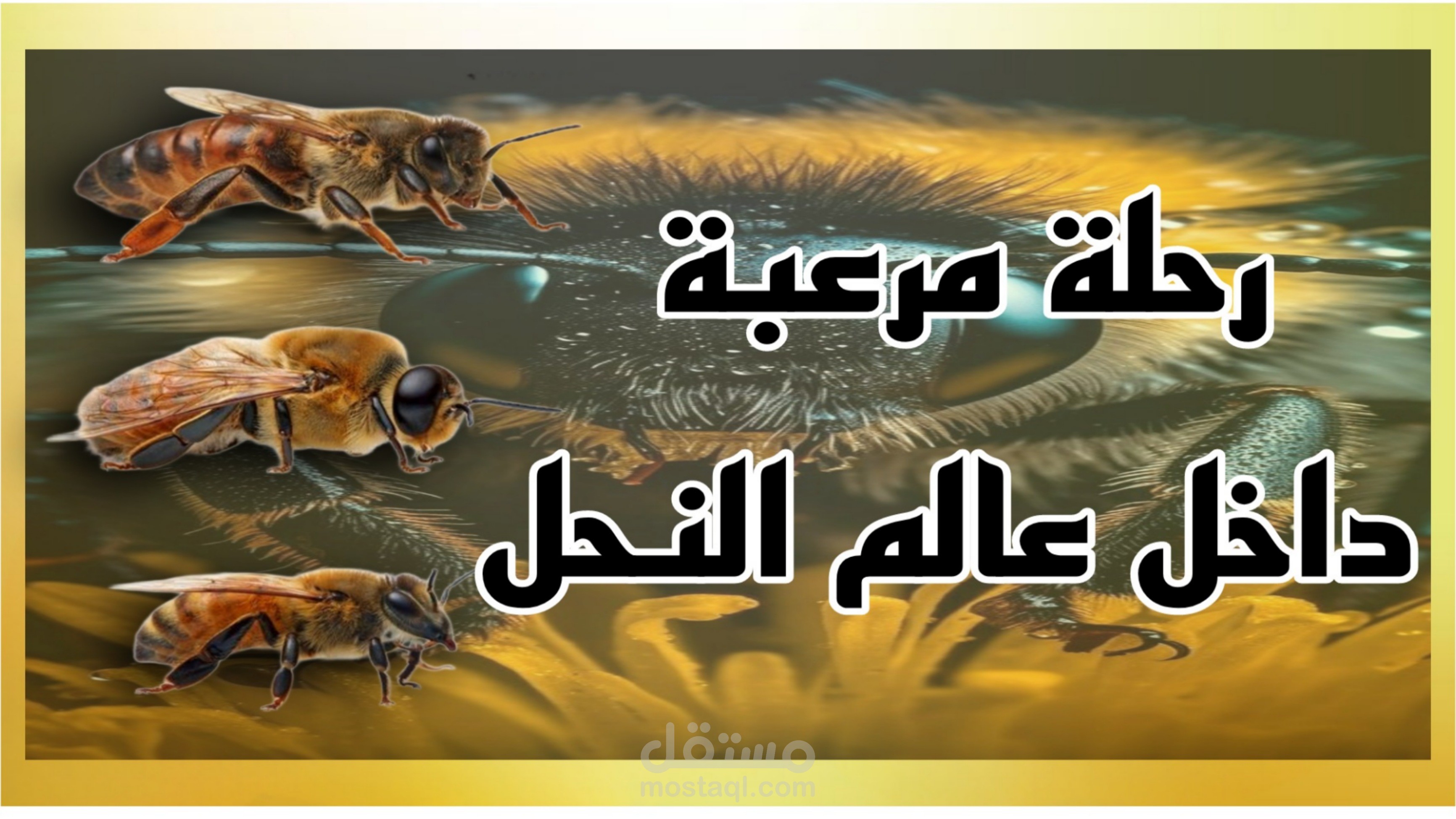 صوره غلاف فيديو
