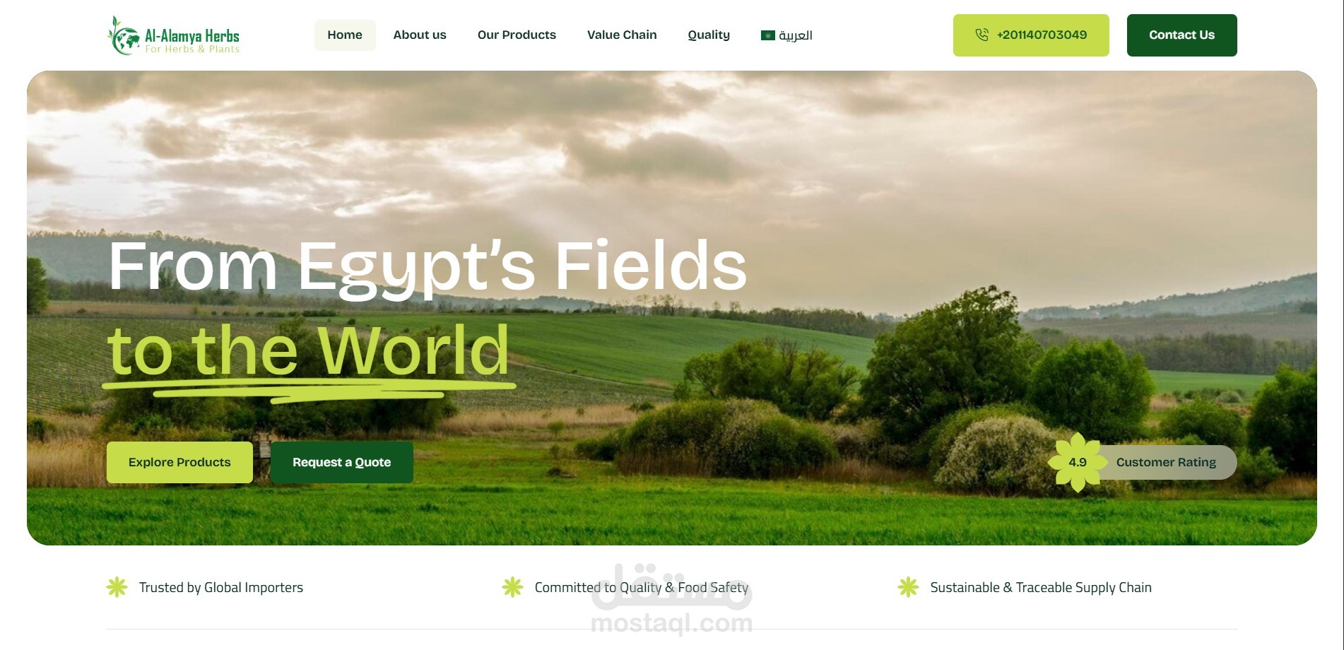 تصميم وتطوير موقع احترافي لشركة Al-Alamya Herbs