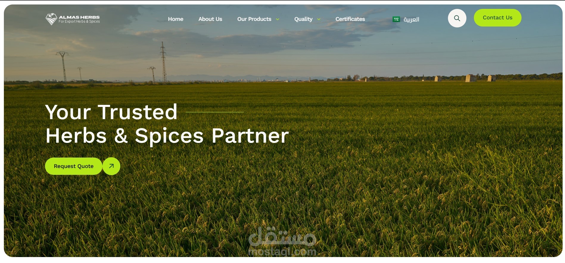 تصميم وتطوير موقع احترافي لشركة Al Mas Herbs