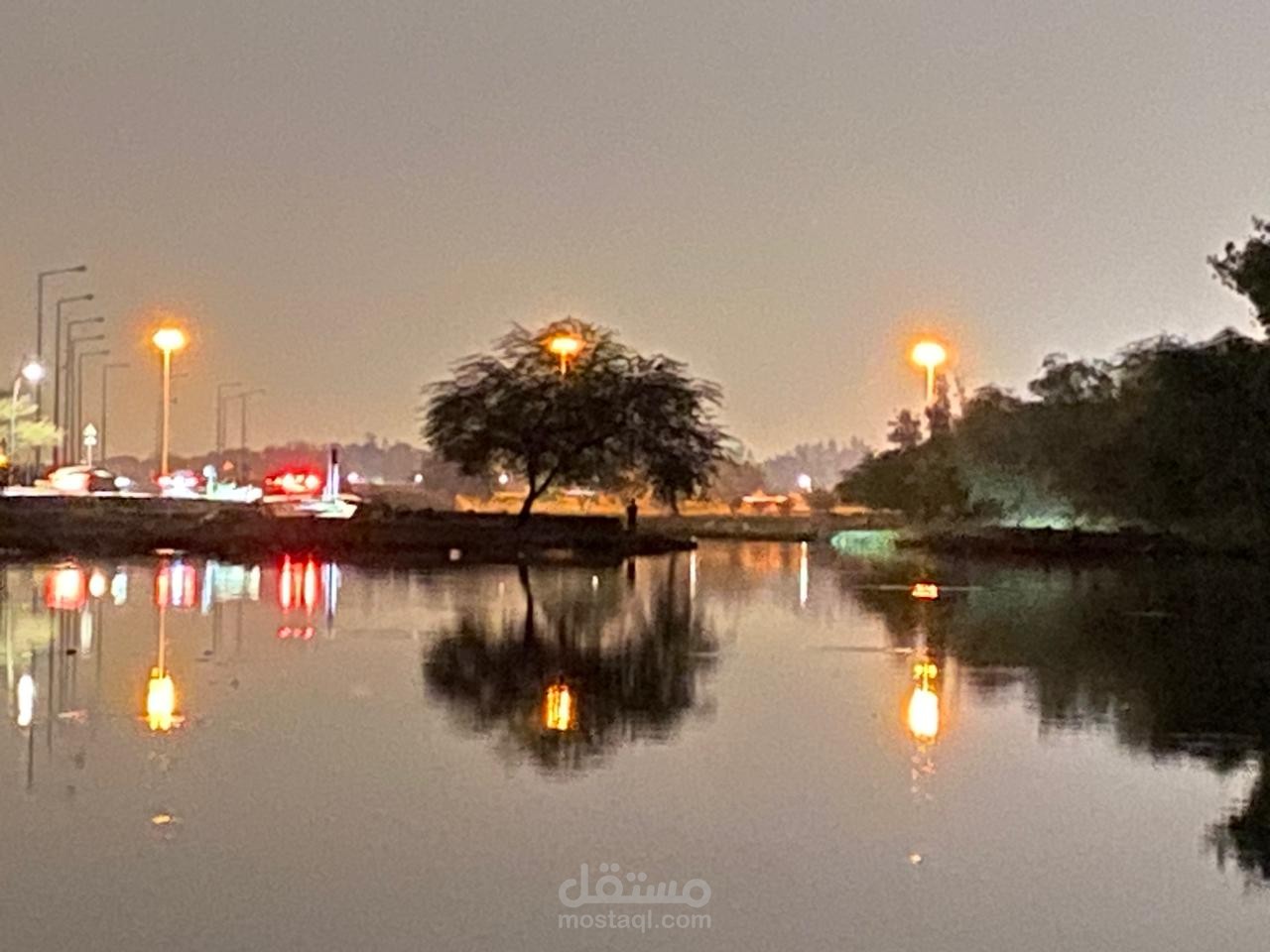 صورة فوتوغرافية