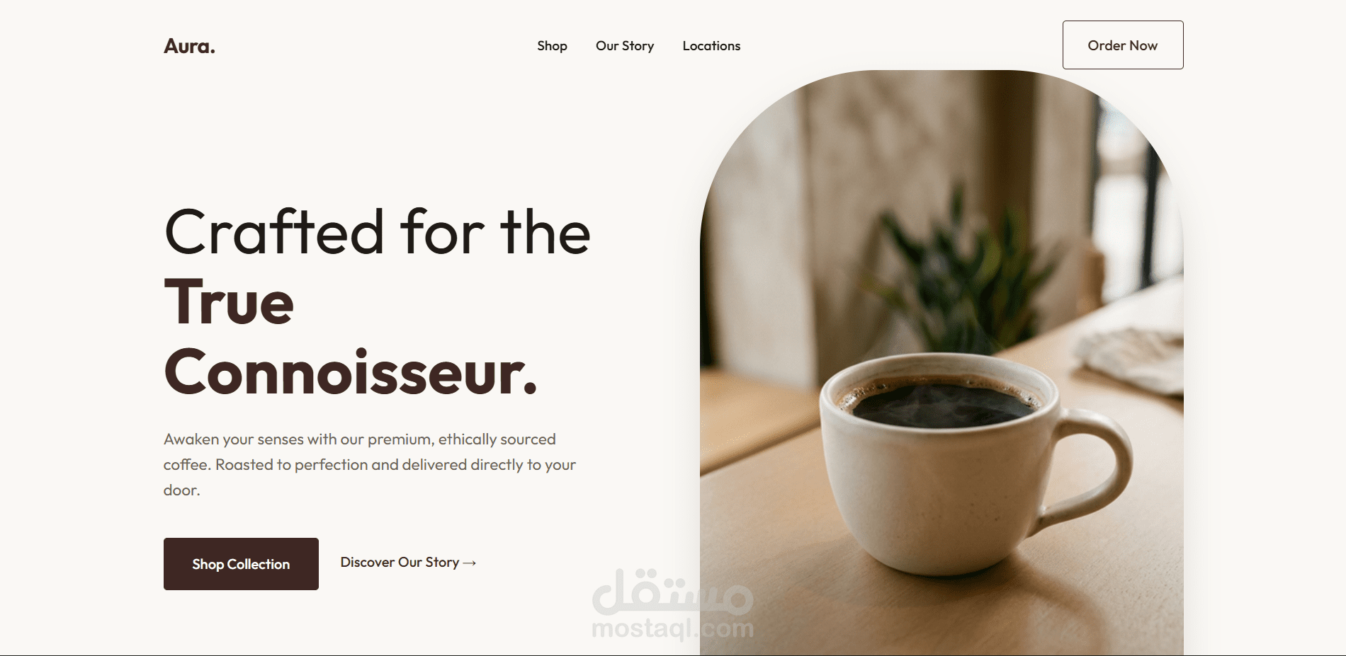 صفحة هبوط - landing page