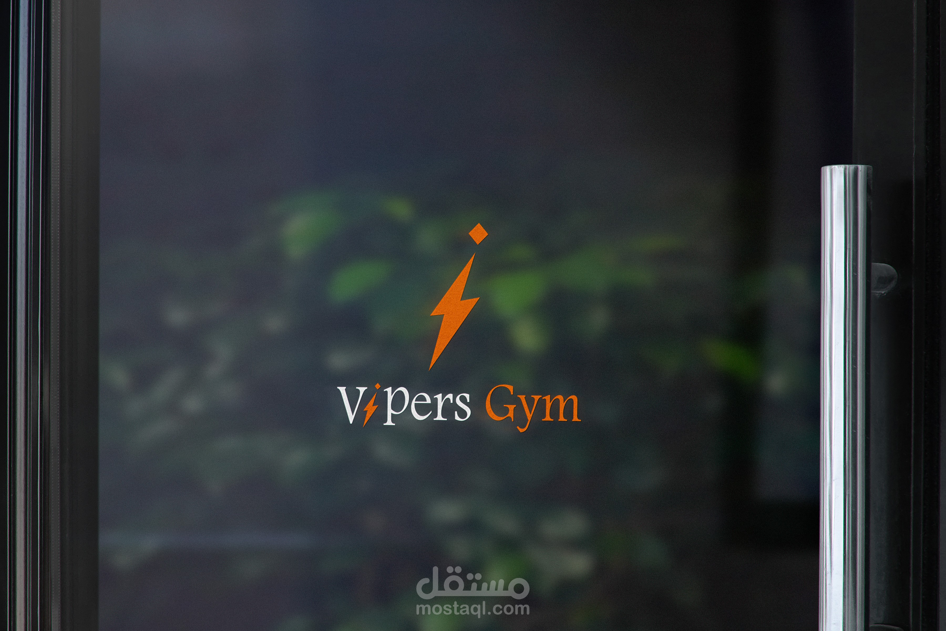 هوية بصرية Vipers Gym