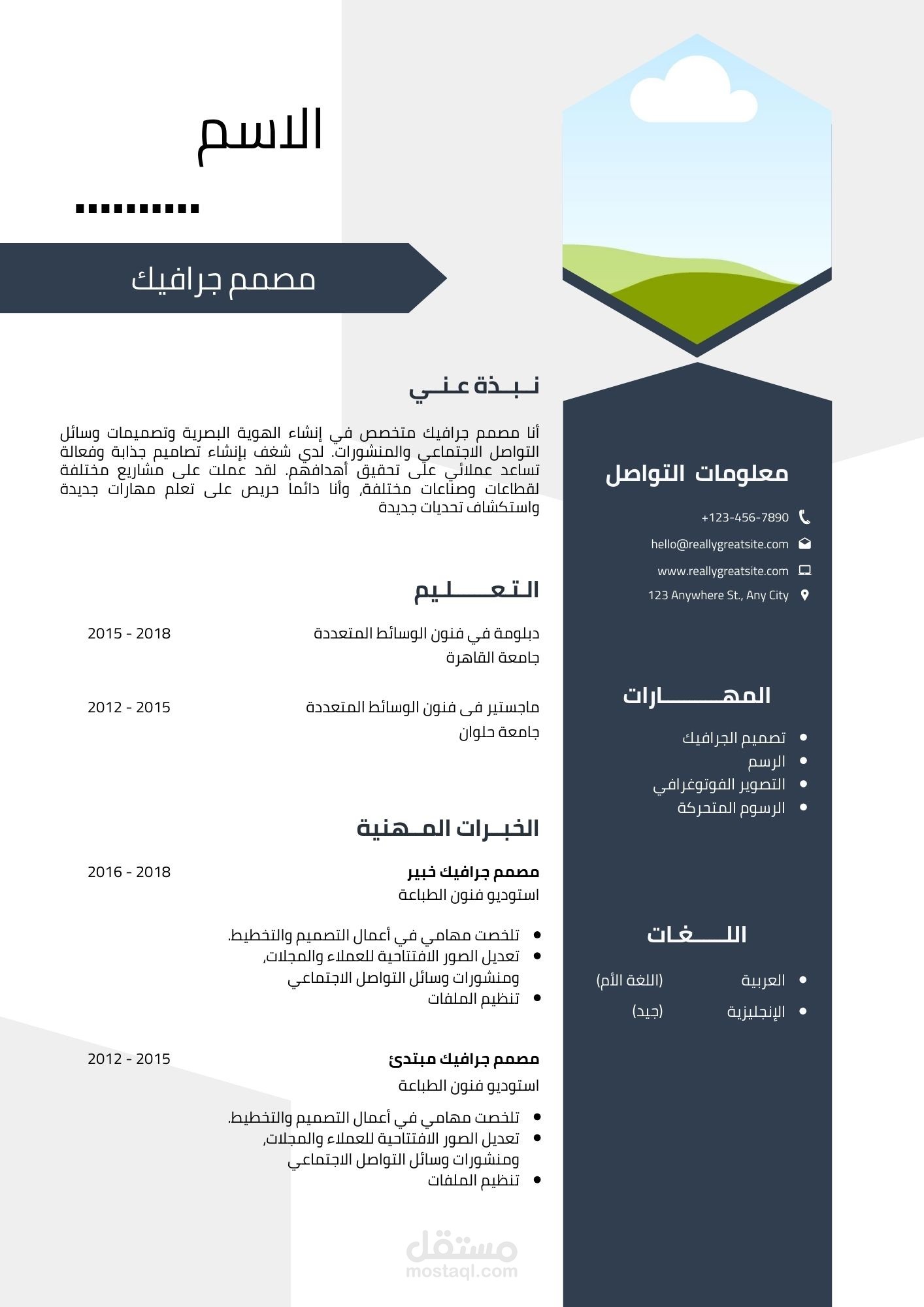 تصميم cv محترف