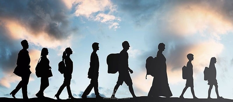Illegal immigration