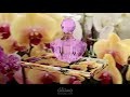 فيديو دعائي لشركة عطور