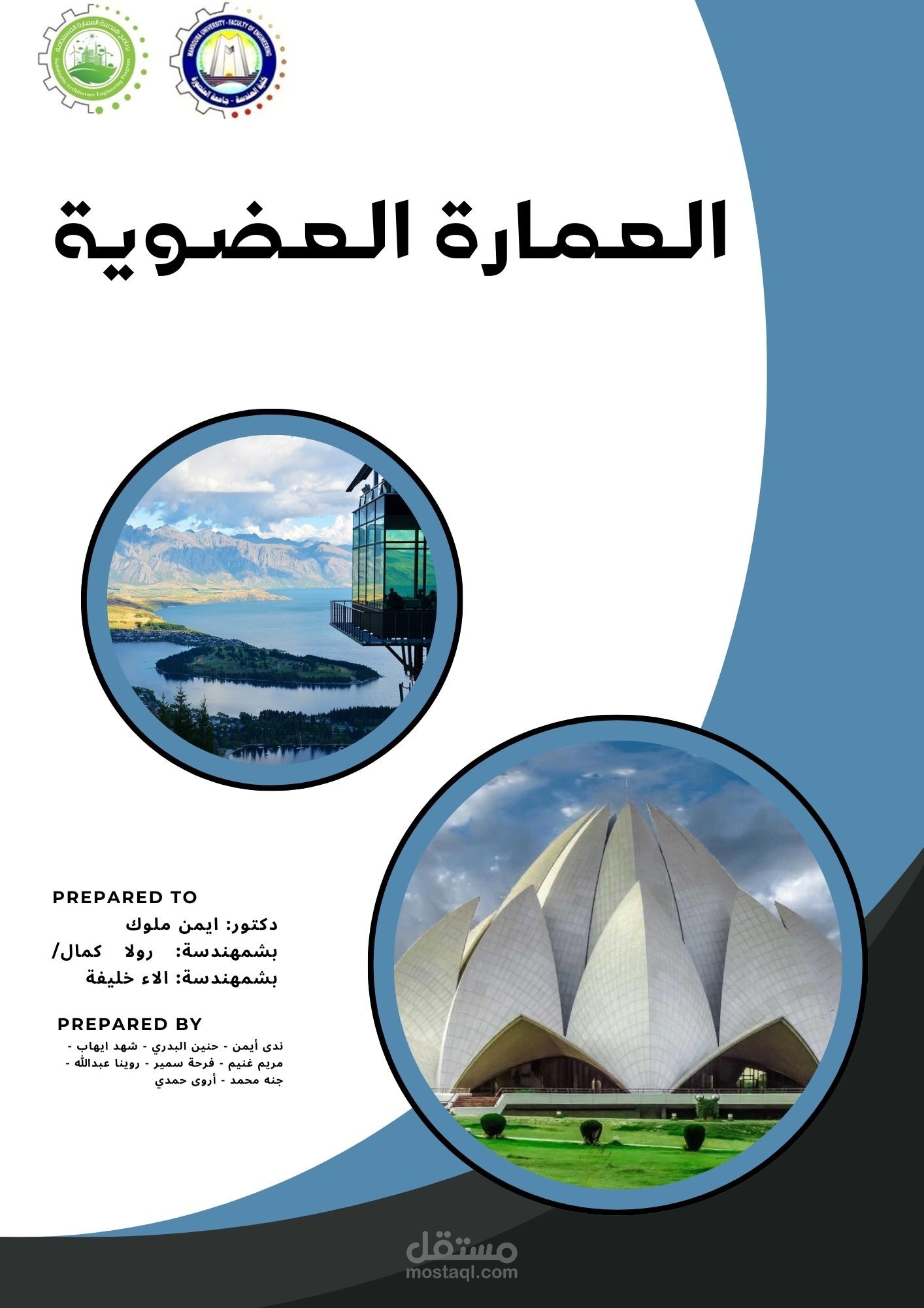 بحث بتصميم عصري احترافي