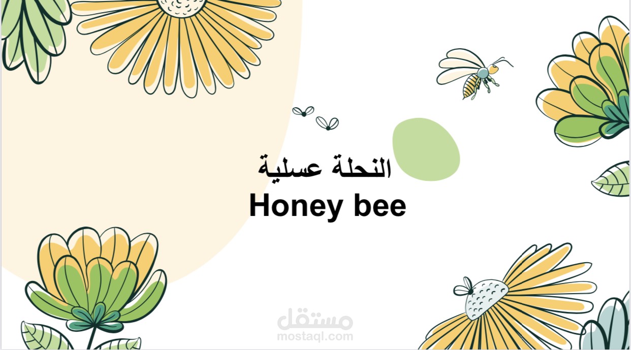 قصة تحفيزية ضد التنمر على الاخرين