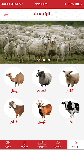 تطبيق أندرويد و iOS مراسي اللحوم