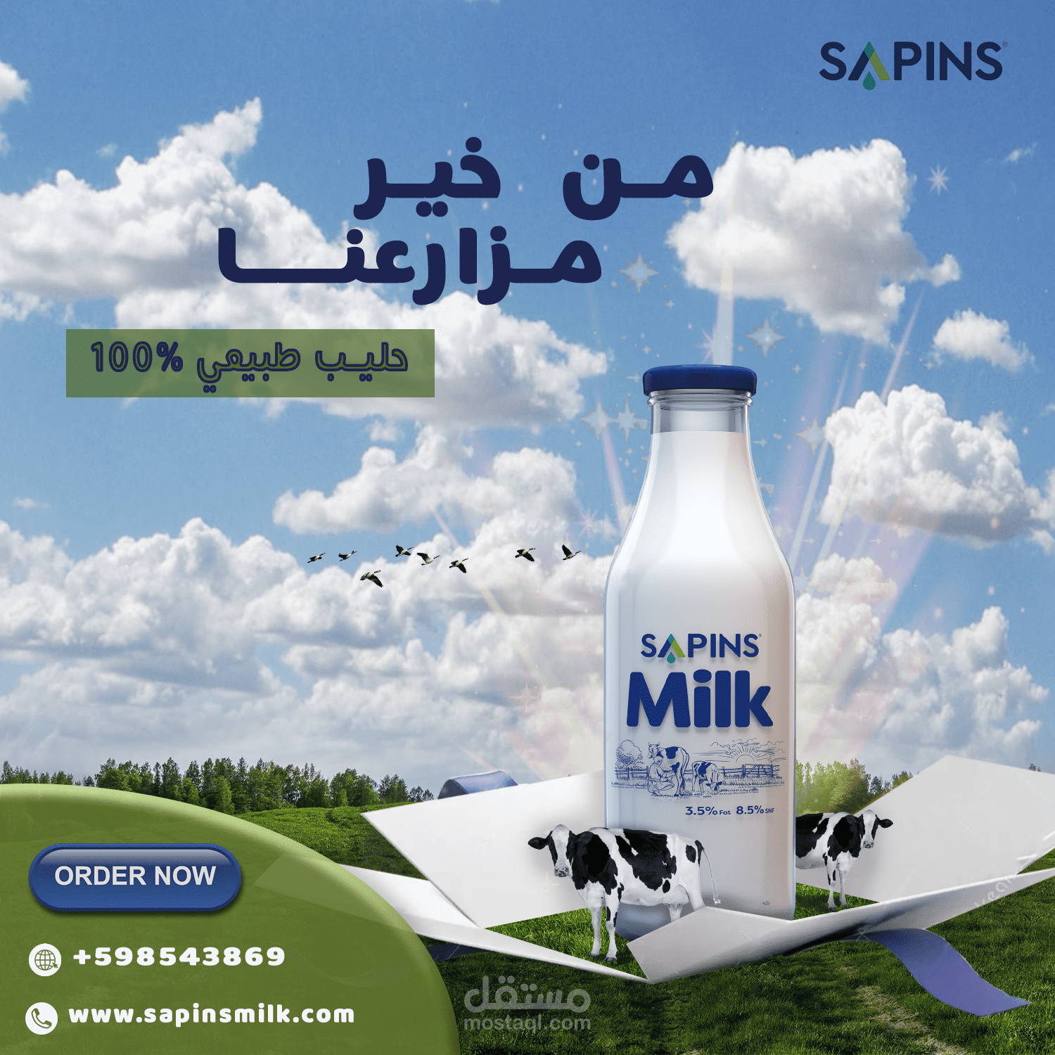 منشورات انستقرام