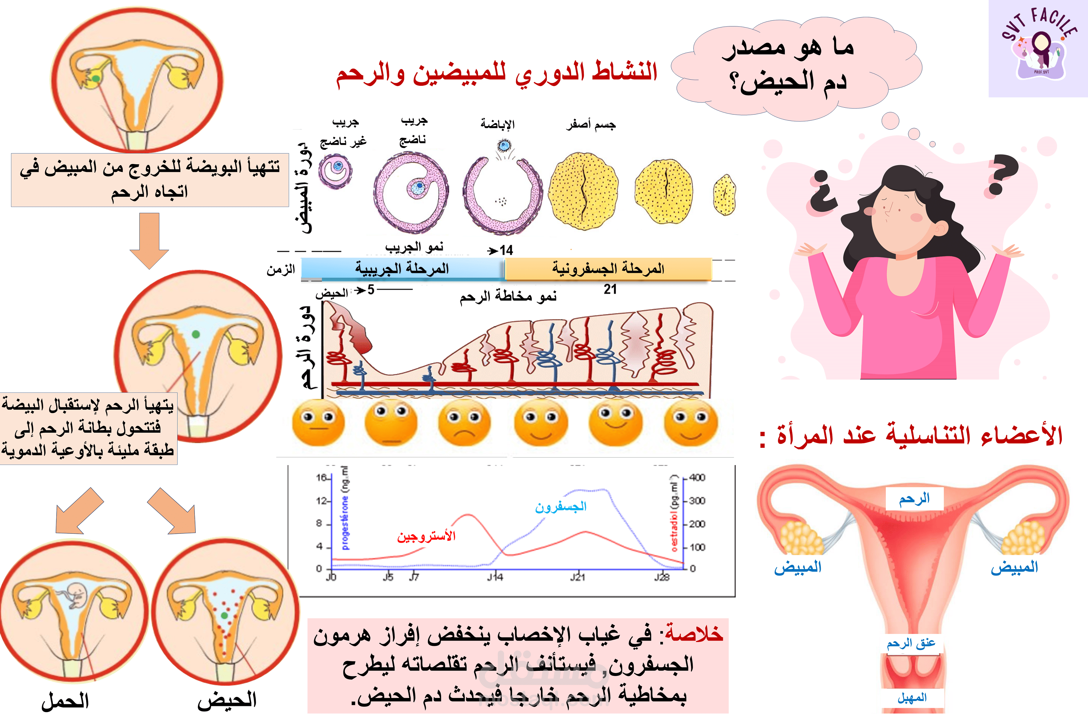 مرحلة البلوغ عند الأنثى | مستقل