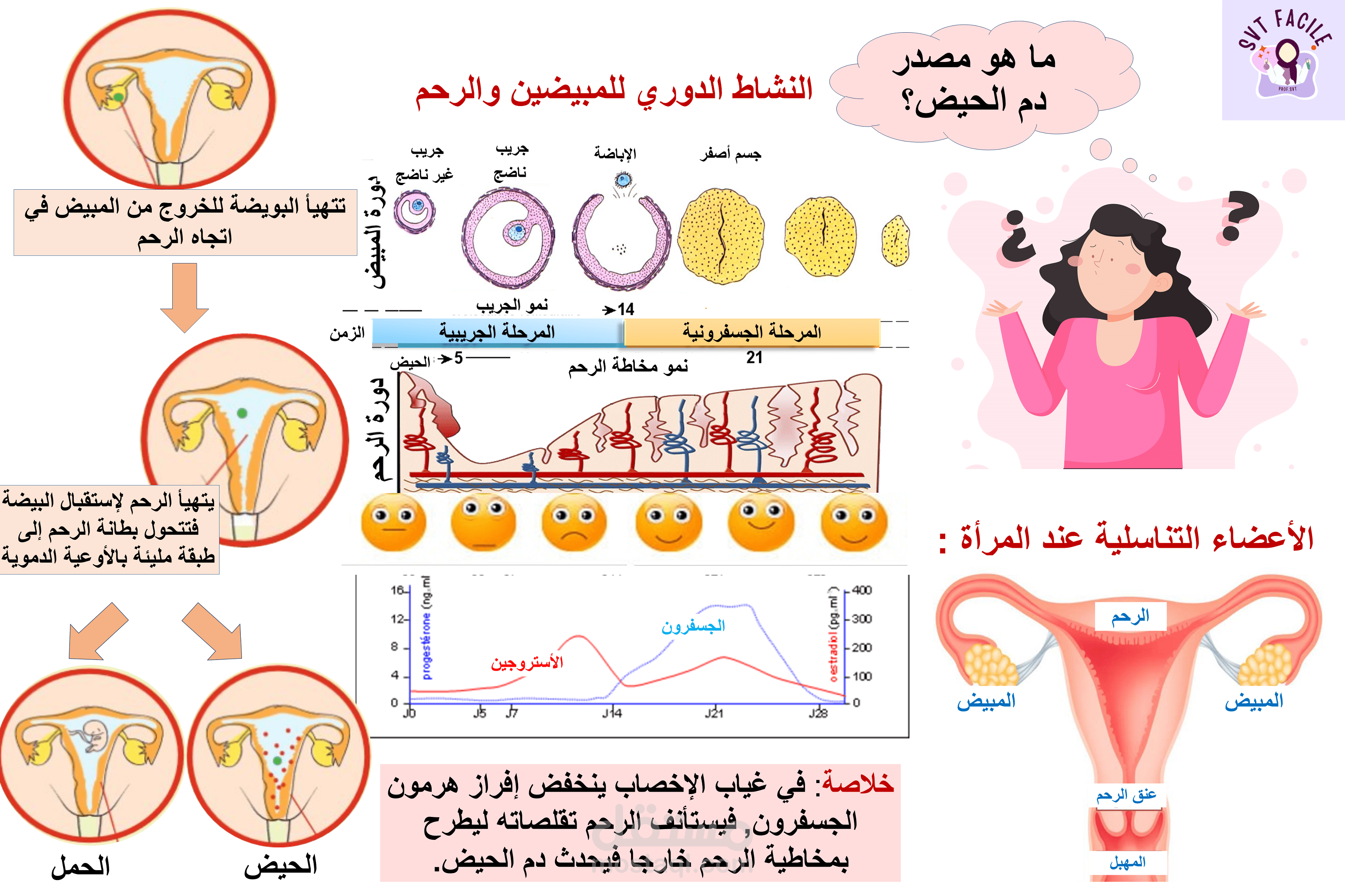 مرحلة البلوغ عند الأنثى