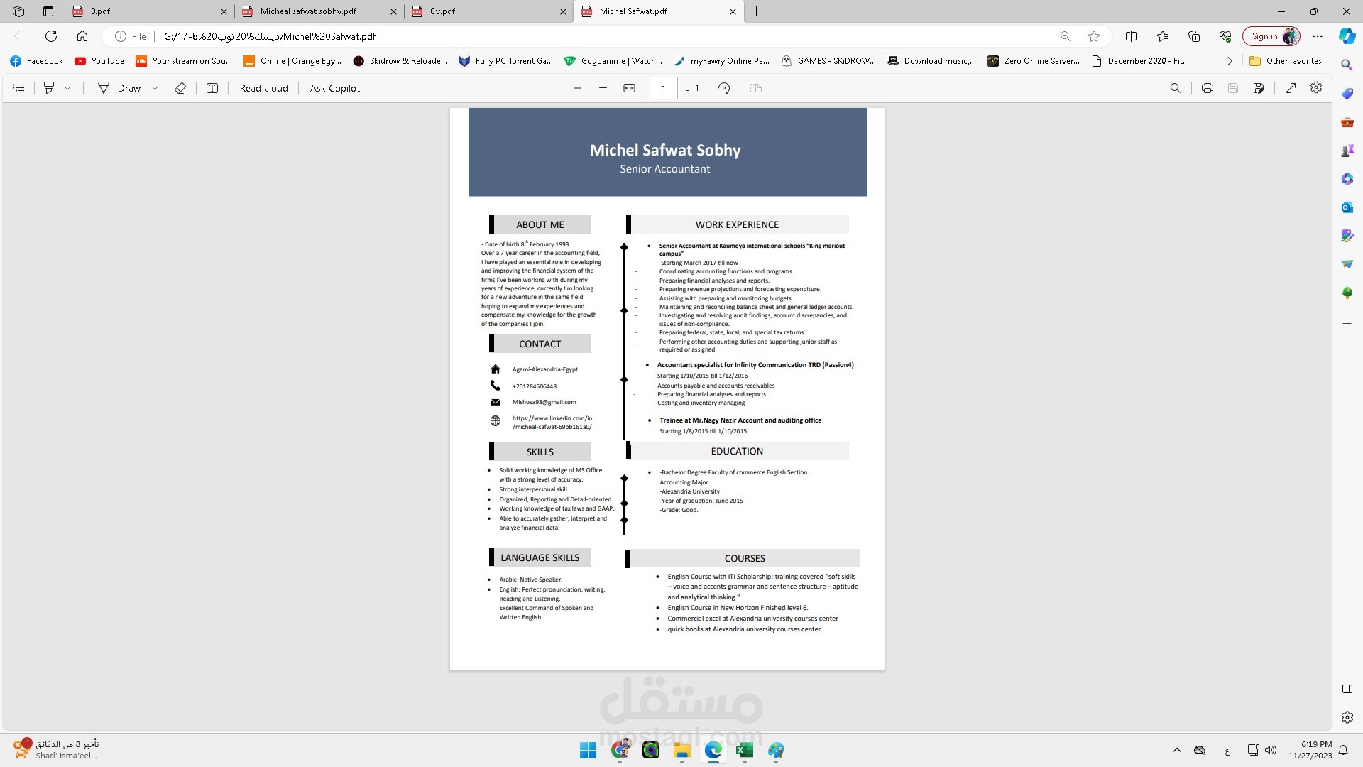 professional CV
