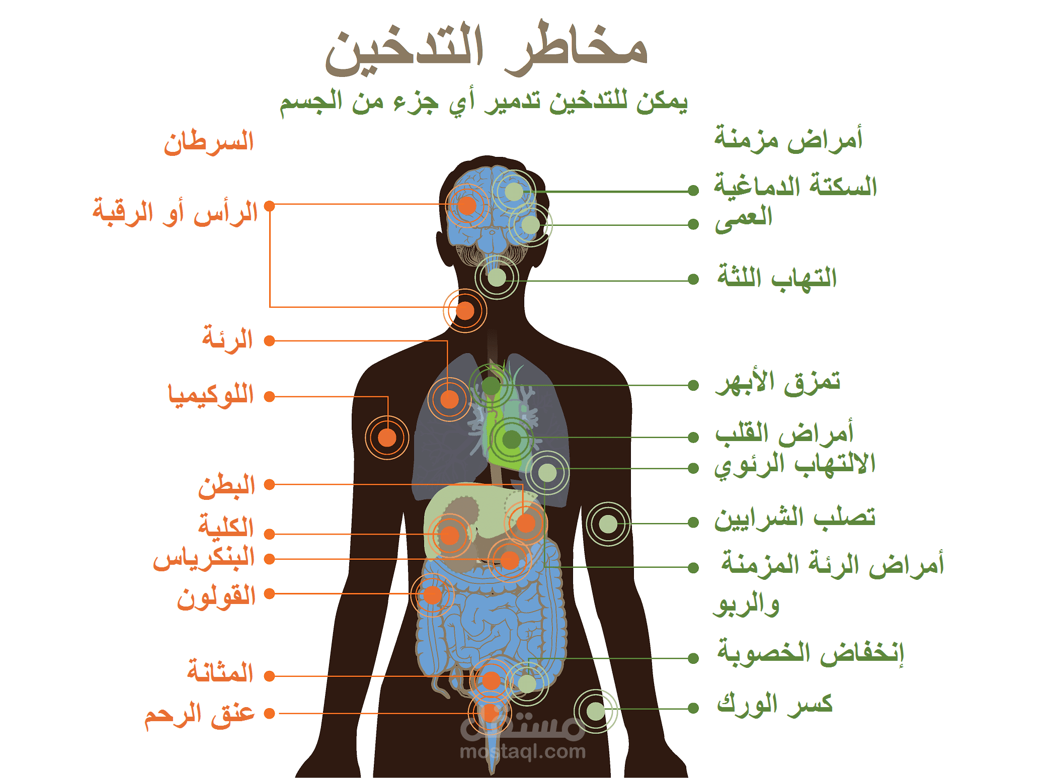 مقال عن التدخين وأضراره