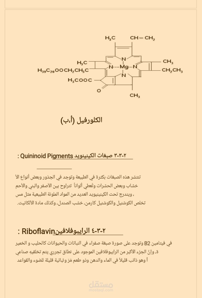مشروع تخرج