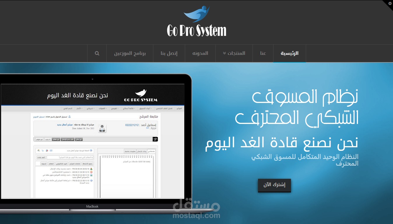 نظام المسوق الشبكي المحترف