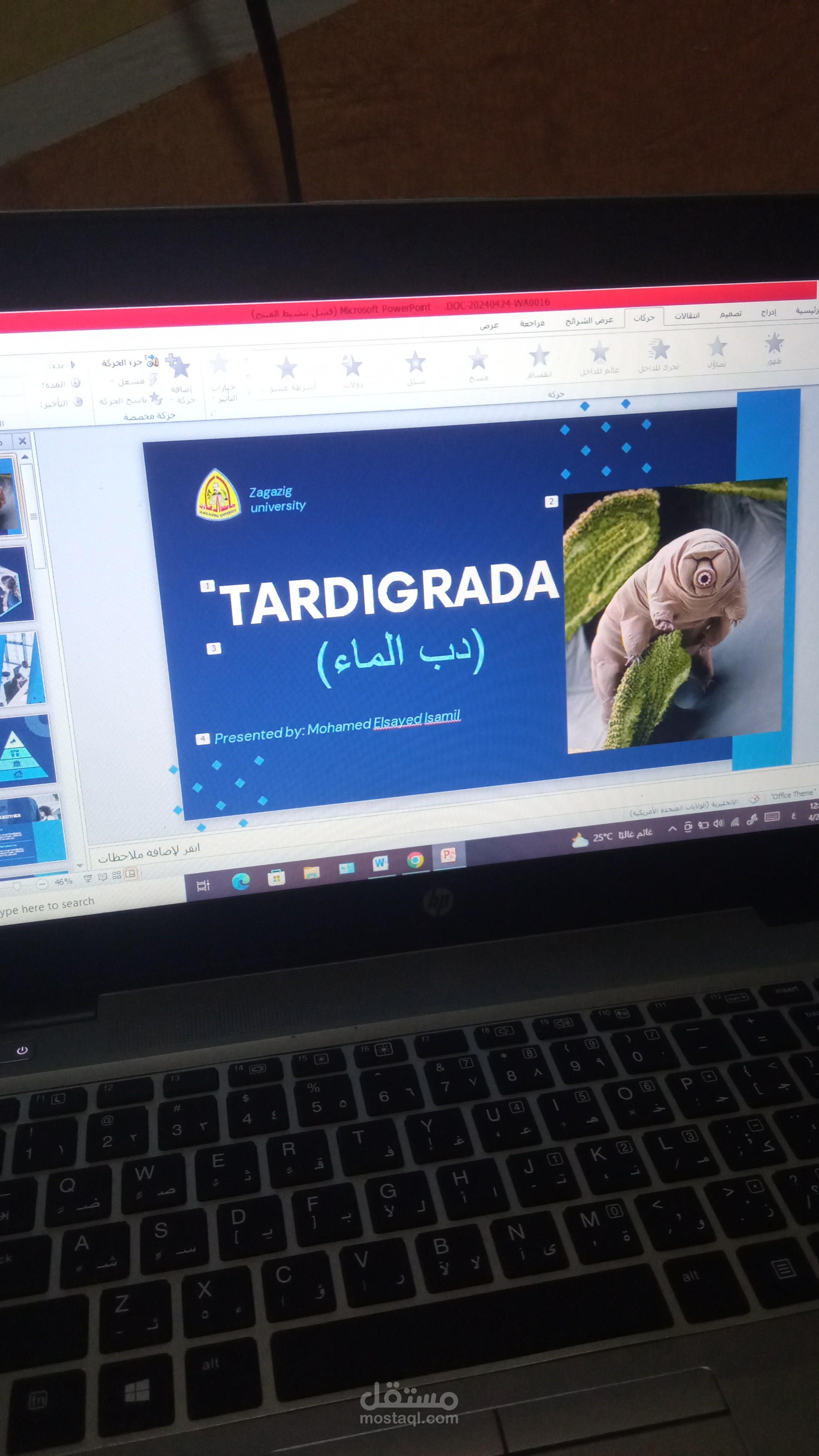 Presentation