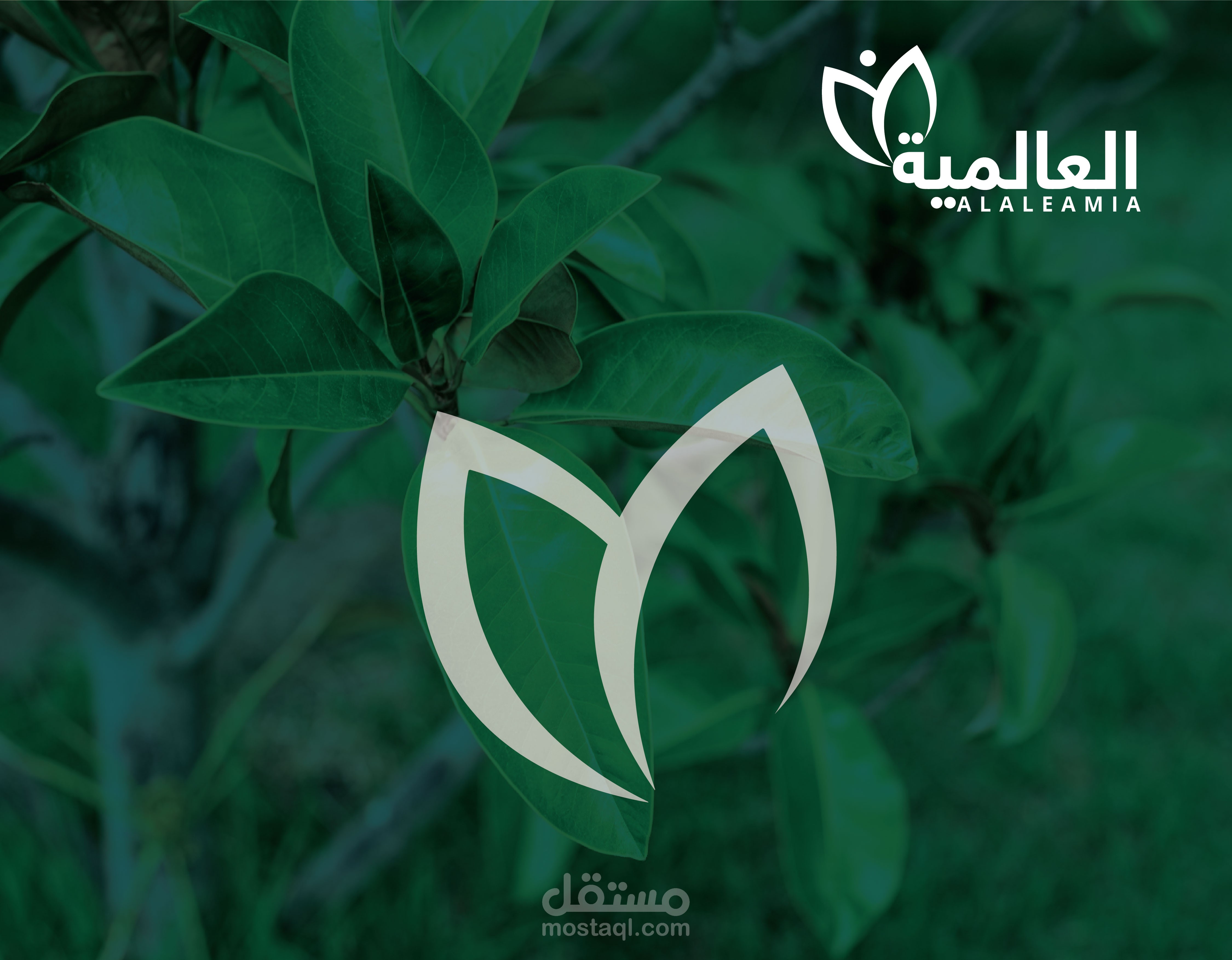 تصميم شعار لصالح شركة مختصه في زيوت الشعر