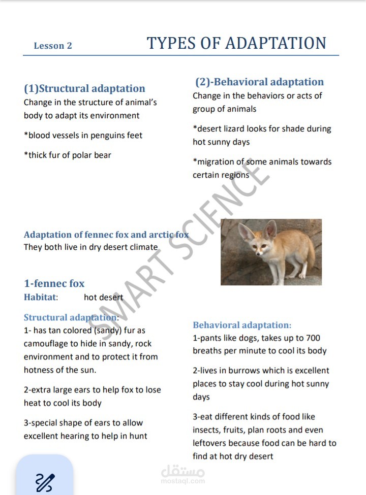 ملخصات لمادة science
