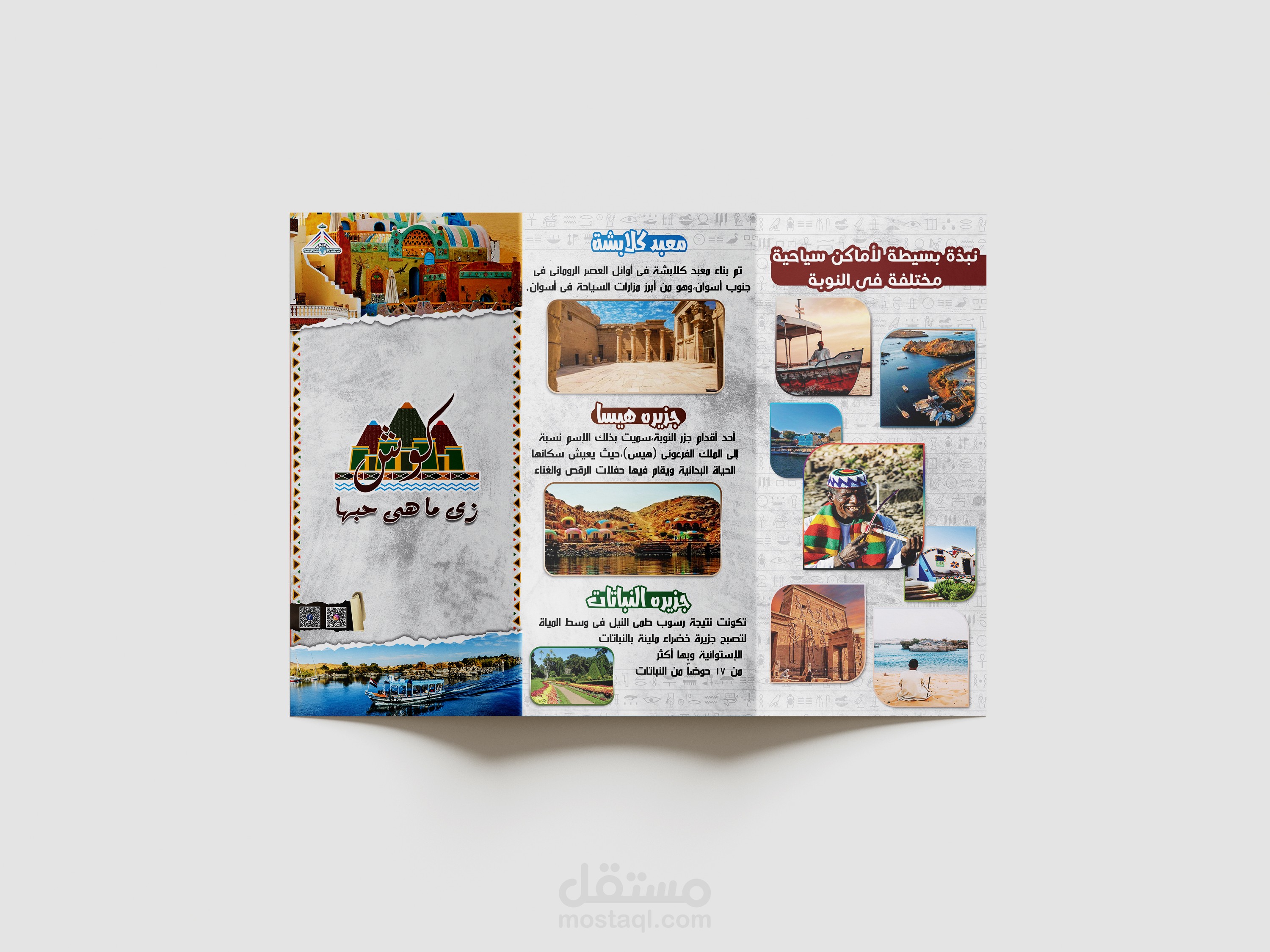 تصميم فلاير وبورشور