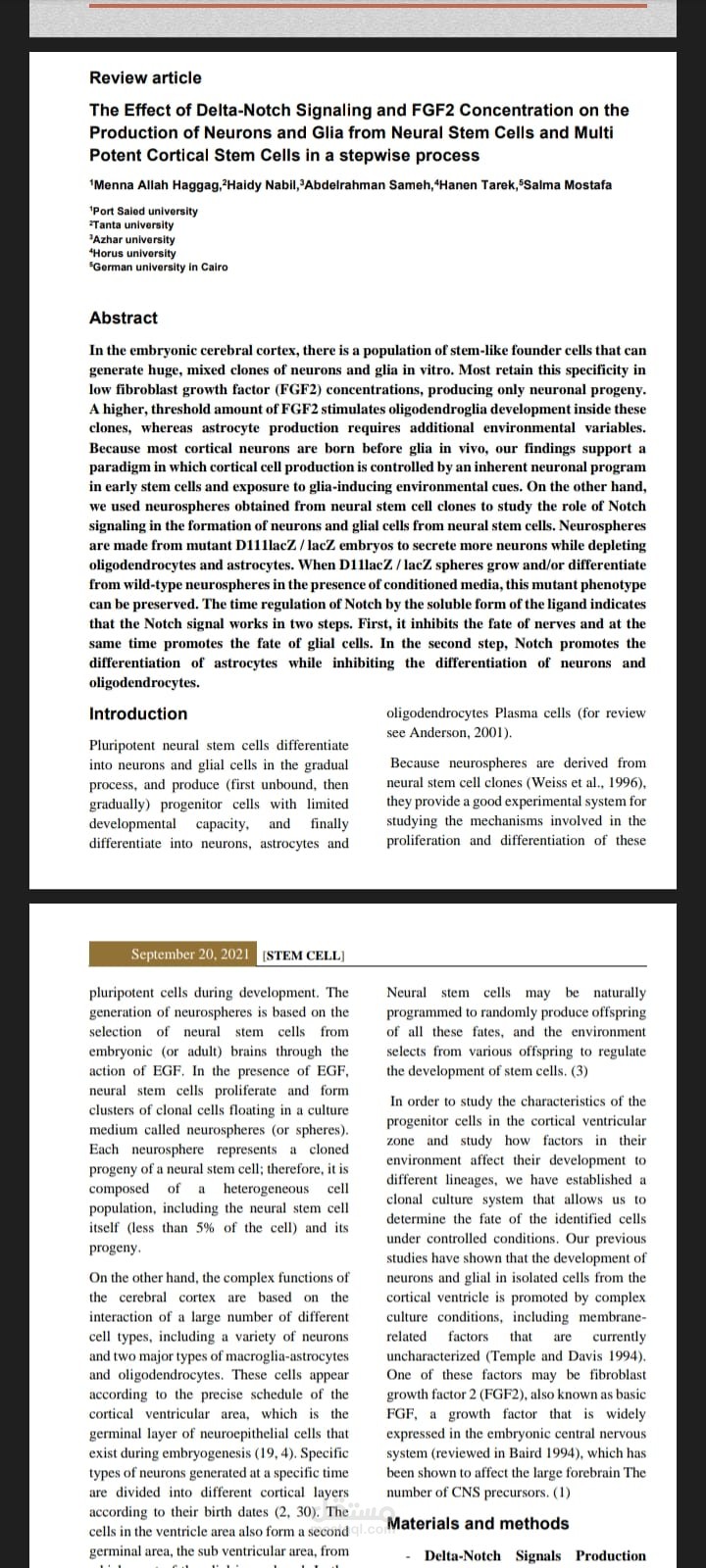 a scientific research about stem cells