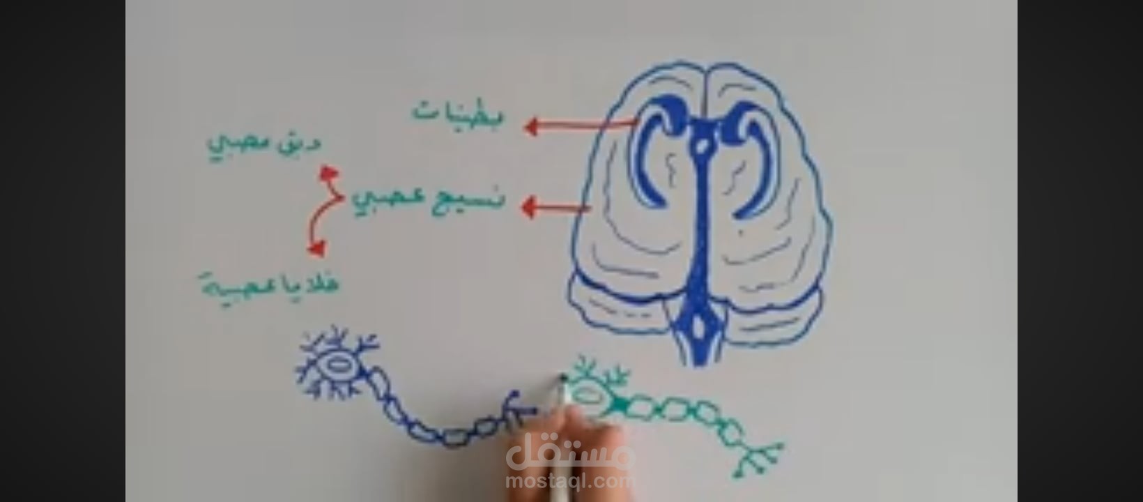 محتوى يوتيوب بعنوان الزهايمر 1 لمحة عن المرض