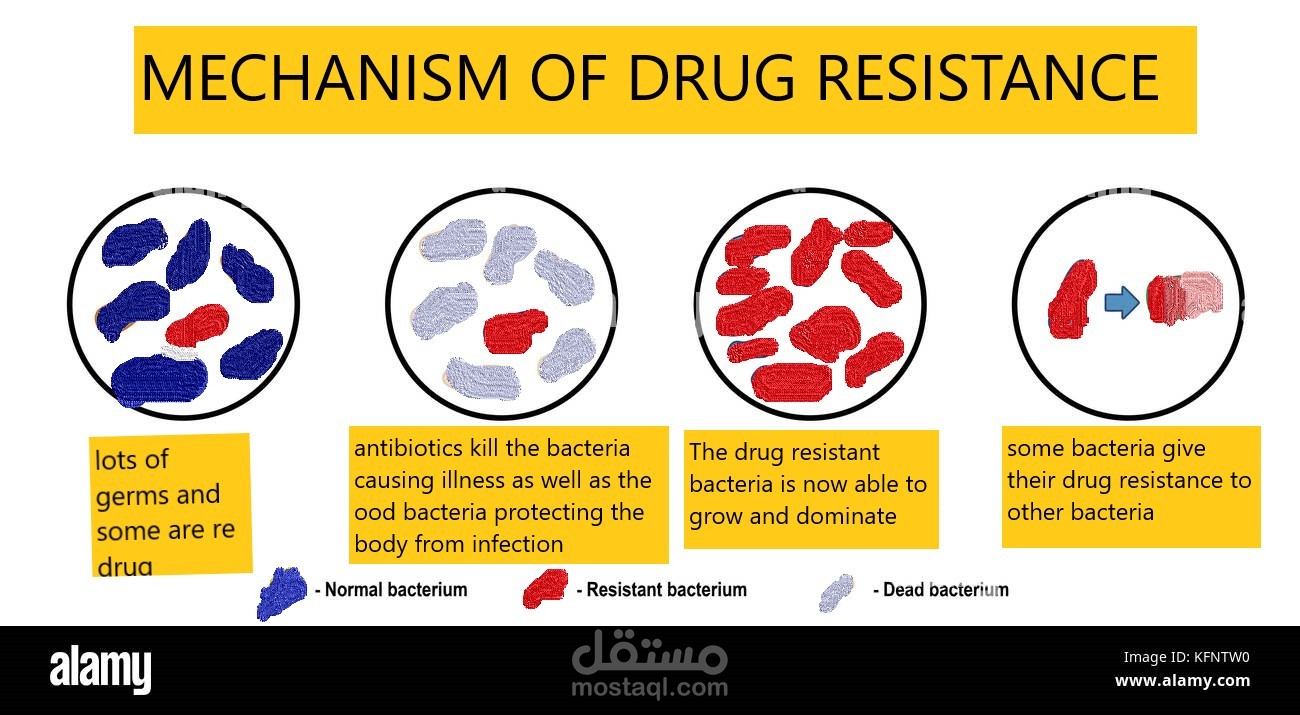Mechanism of antibiotic resistance