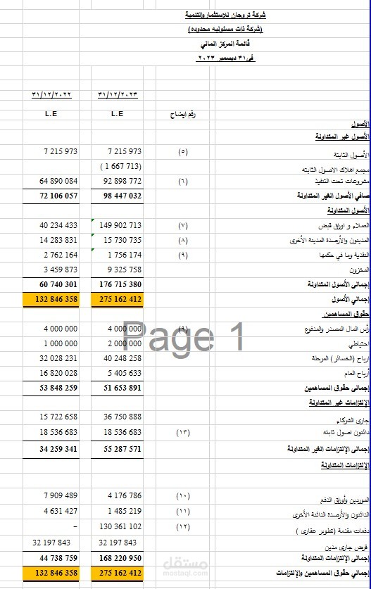 ميزانية عمومية و قائمة دخل لشركة تروجان