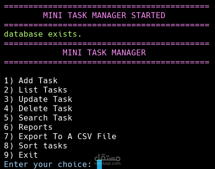Mini Task Manager