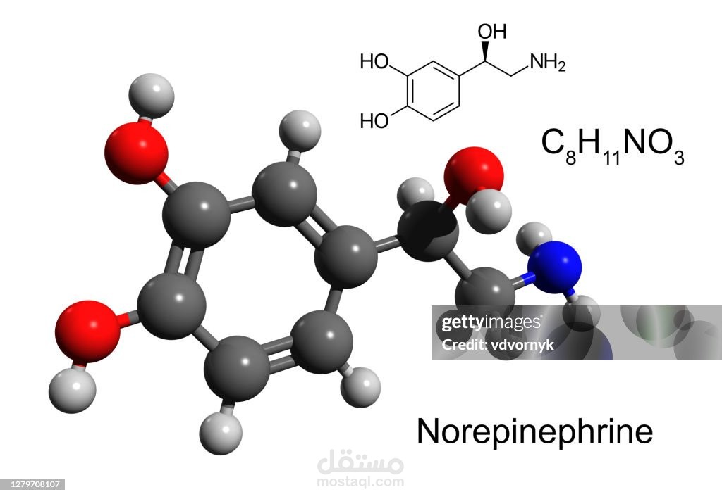 nor adrnaline in picu