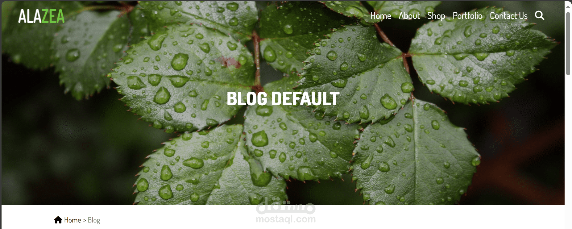 صفحه متجاوبه لعرض الازهار